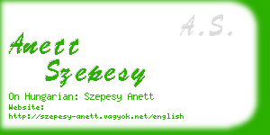 anett szepesy business card